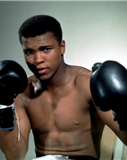 Profilbild Cassius Marcellus  Clay Jr.