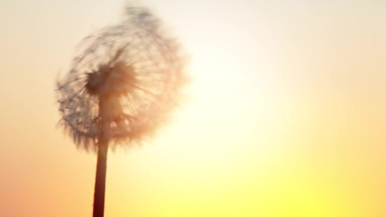 Video zur Traueranzeige 3